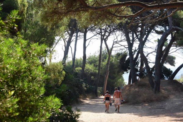 Camping** Le Mediterranee — Photo 2