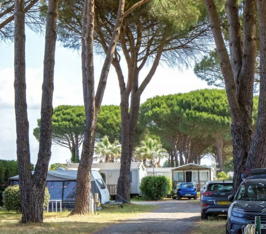 Camping de Vaudois *** — Camping Site in Roquebrune-sur-Argens