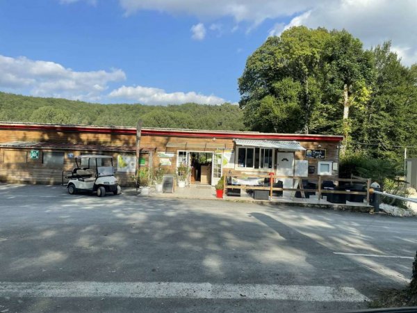 Camping le Bois du Coderc ***