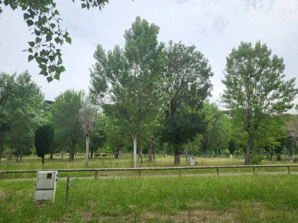 Camping du Pylône ** — Photo 2