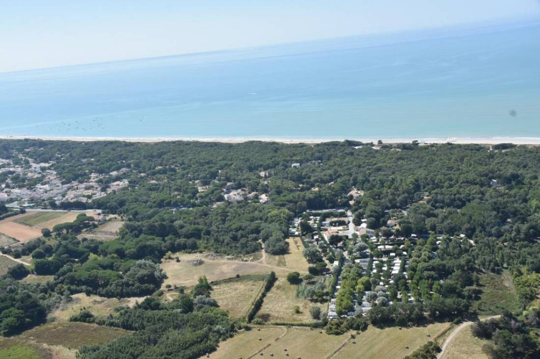 Camping Le Puma — Kemp in La Couarde-sur-Mer
