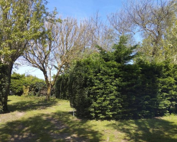 Camping Le Prelong ** — Photo 3