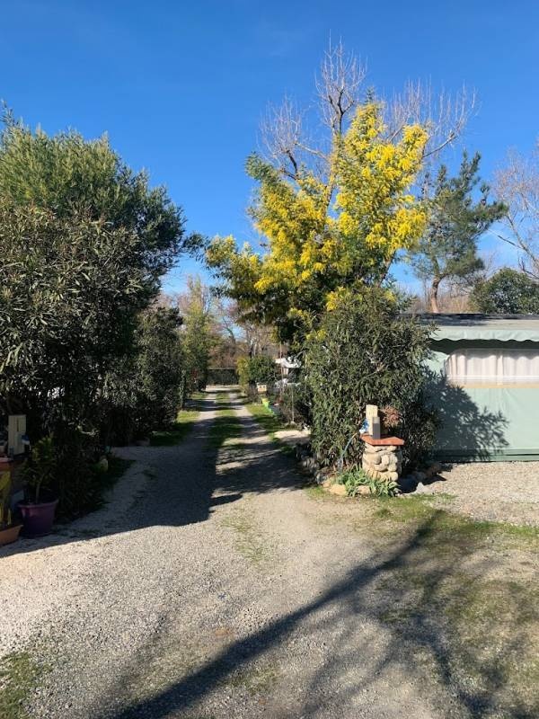 Camping Saint Martin — Kemp in Céret / Occitanie