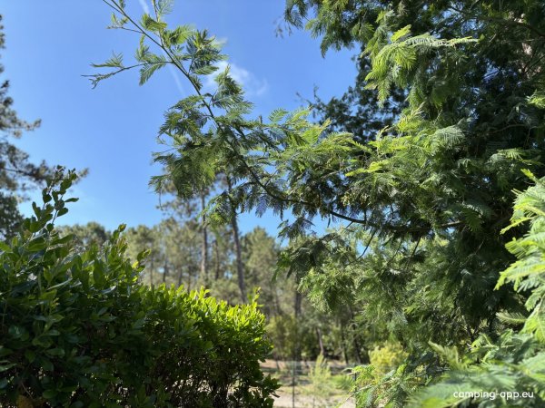 Camping le Truc Vert **** — Foto 3