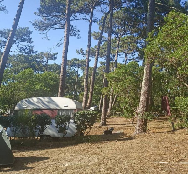 Camping le Truc Vert **** — Photo 4