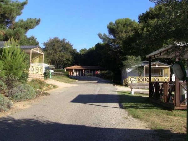 Camping Le Vieux Verger *** — Photo 3