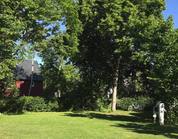 Camping Municipal du Bac ** — Photo 3