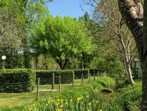 Camping Le Moulin De Paulhiac **** — Photo 3