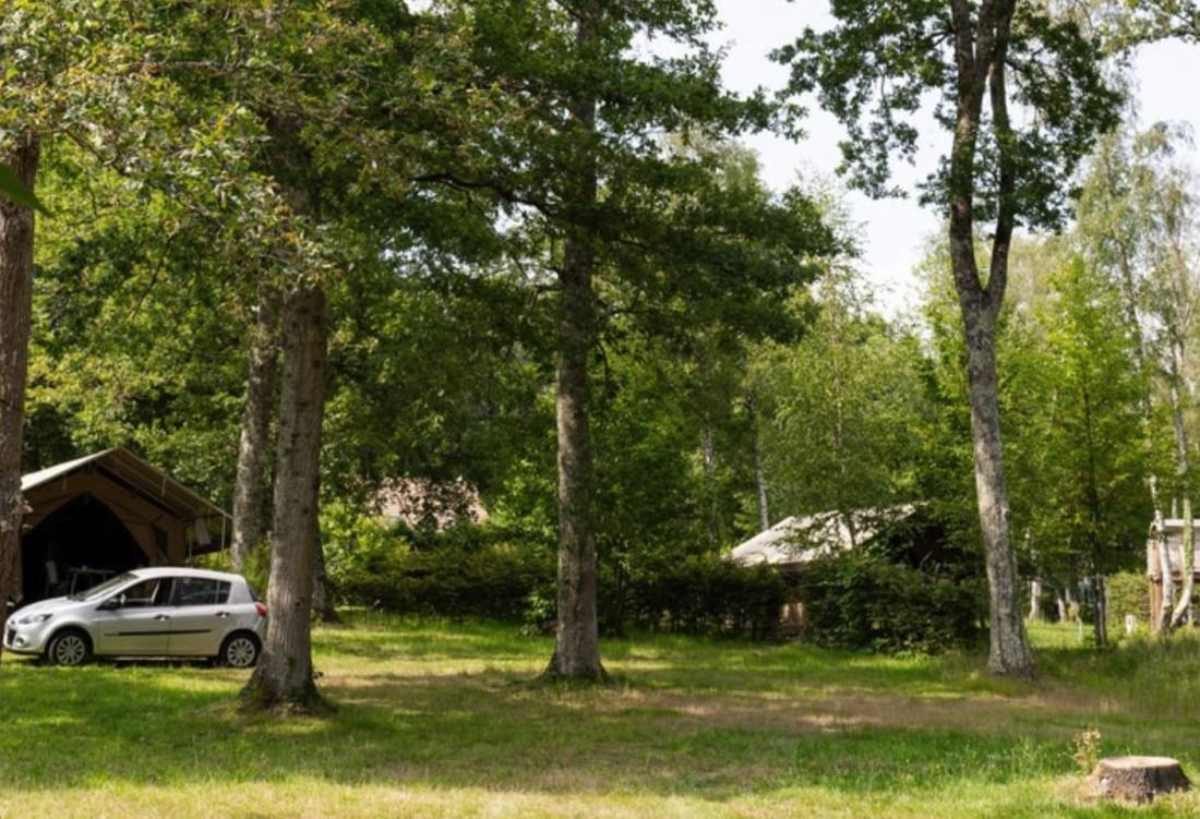 Camping de la Varenne ** — Campingplads in Neung-sur-Beuvron