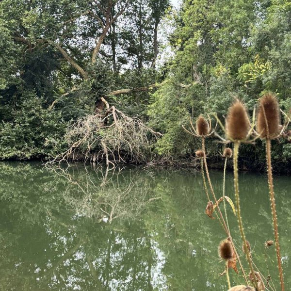 Camping Le Sabot *** — Photo 6