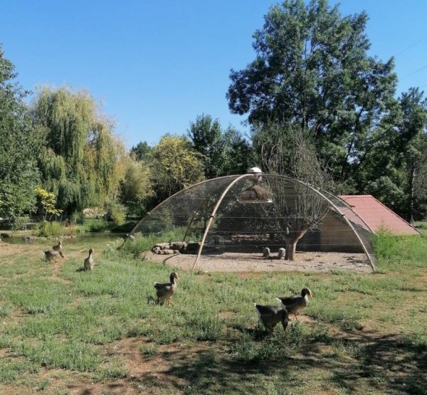 Camping Le Daxia *** — Photo 6