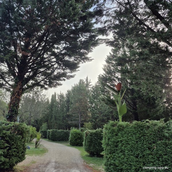 Camping Le Daxia *** — Foto 3