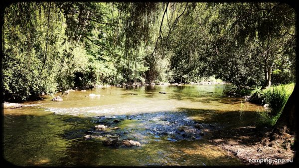 Camping municipal saint leonard des bois — Photo 4