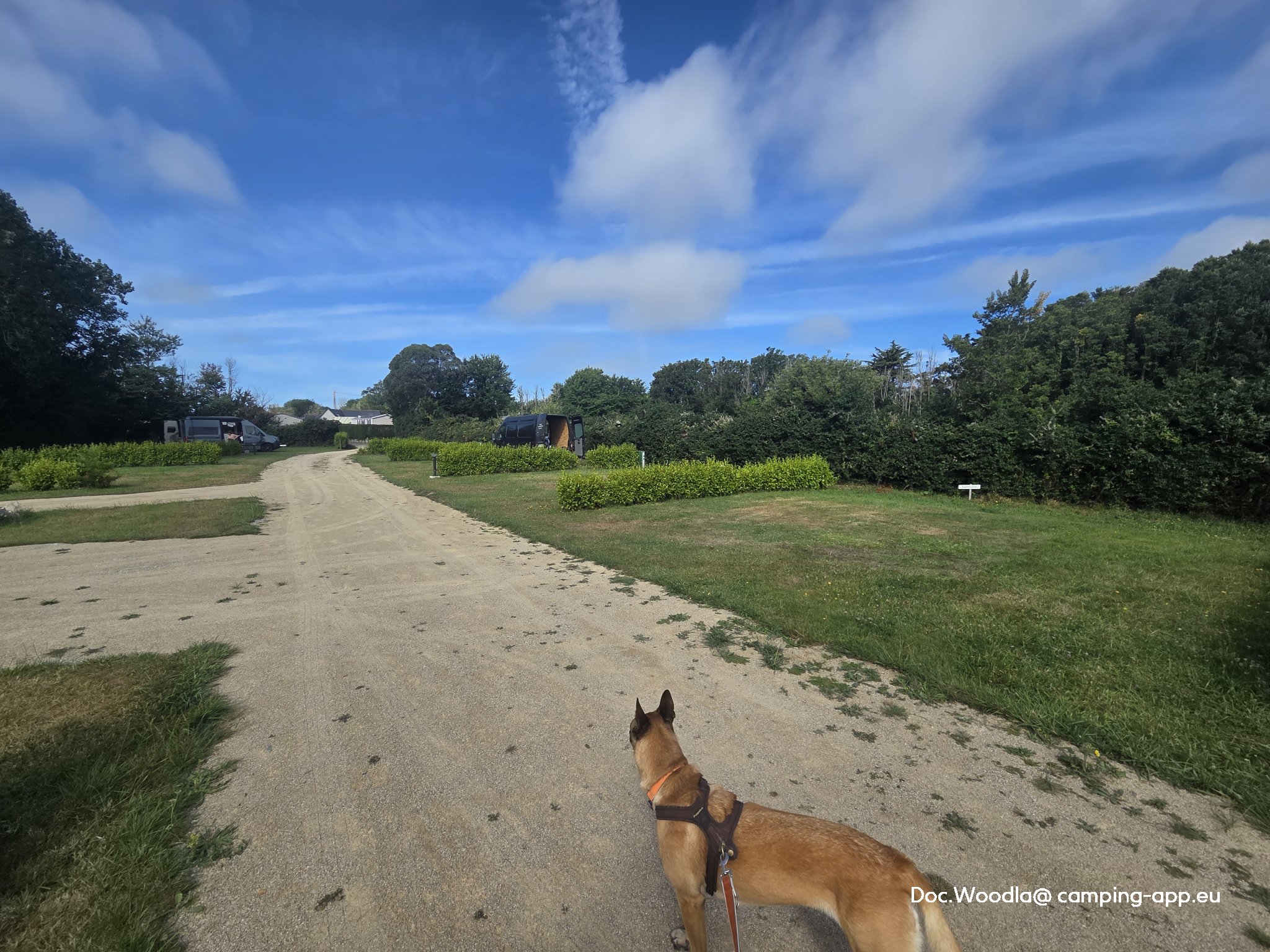 Camping Les Bruyères *** — Foto 6