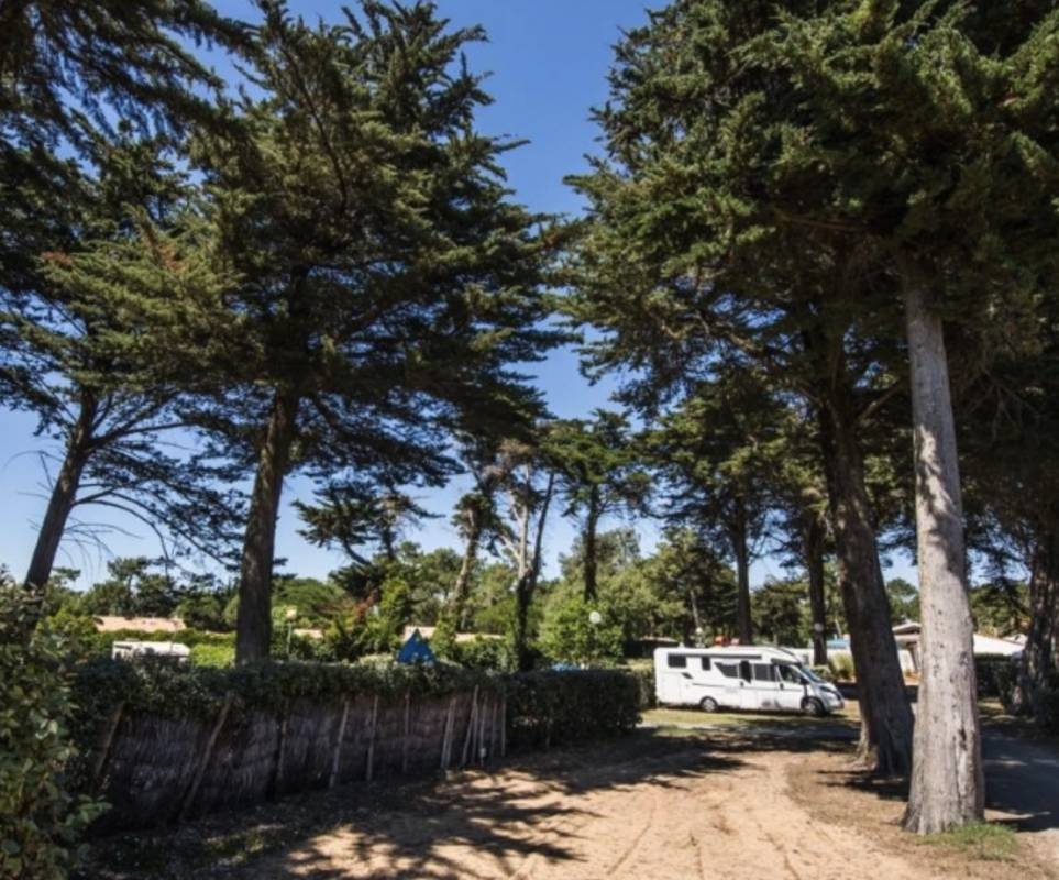 Domaine Les Grenettes — Місце для кемпінгу in Sainte-Marie-de-Ré