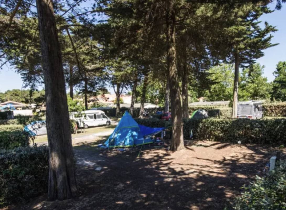 Domaine Les Grenettes — Campingplass in Sainte-Marie-de-Ré