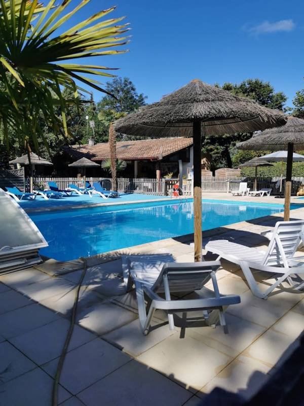 Camping Squirrels — Photo 2