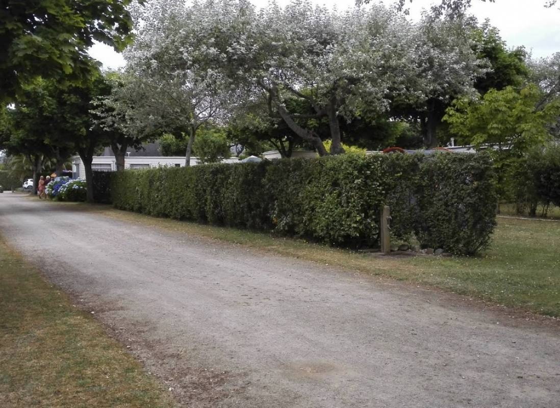 Camping Les Macareux — Campingplatz in Trévou-Tréguignec 