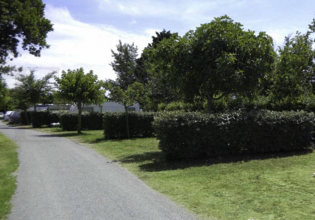 Camping Les Lauriers ** — Campingplass in Saint-Denis-d'Oléron / Nouvelle-Aquitaine