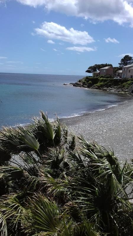 Le Casanova — Camping Site in San-Martino-di-Lota