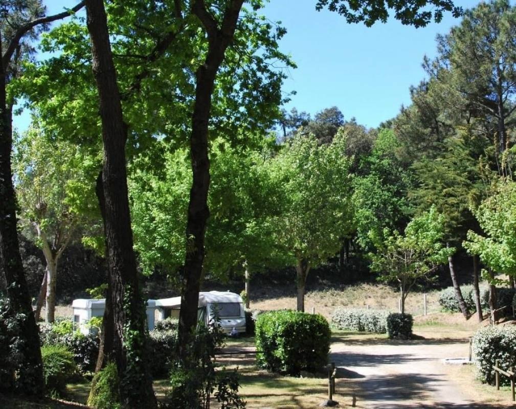 Camping Les Ramiers ** — Cámping in Longeville-sur-Mer
