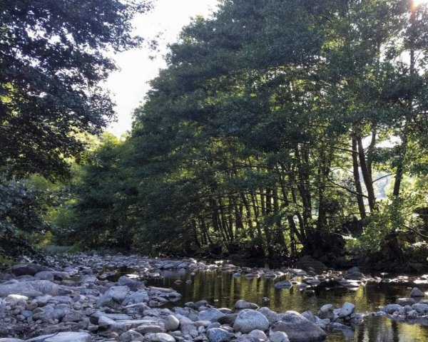 Camping de la Quillette — Photo 4