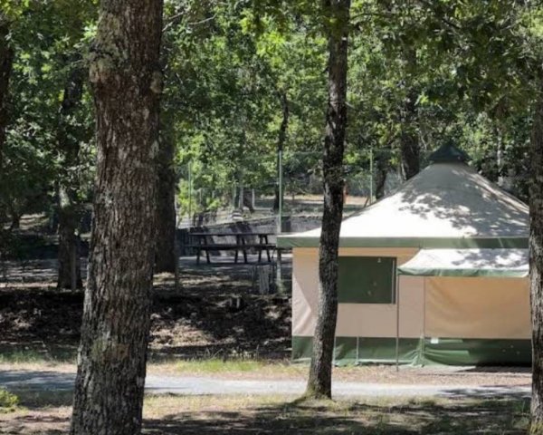 Camping GCU Lacanau — Photo 3