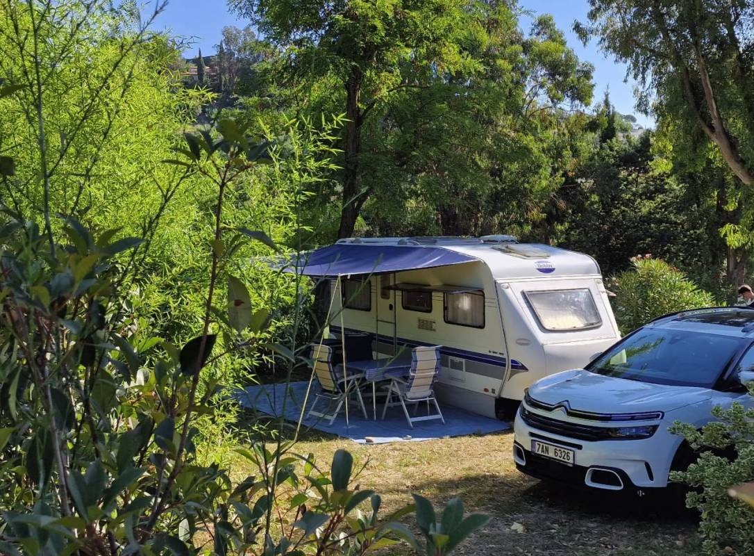 Camping La Provençale **** — Camping Site in Mandelieu-la-Napoule