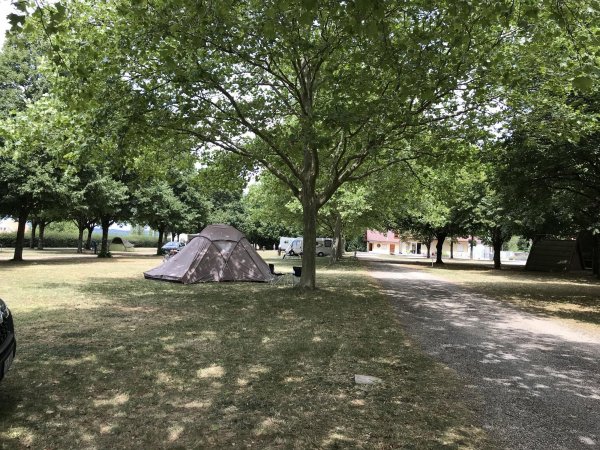 Camping la tulipe de vigne — Foto 2