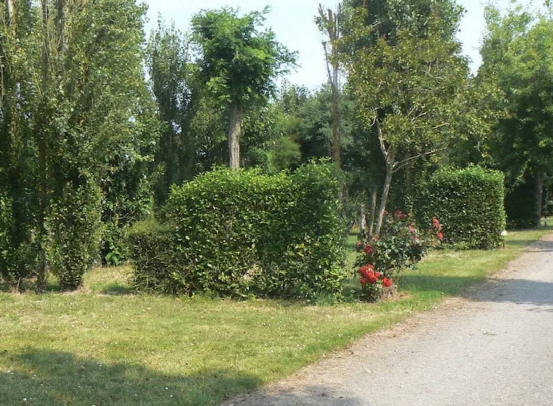 Camping La Moutte Cendrée *** — Kamp yeri in Saint-Vincent-sur-Jard