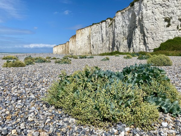 Camping Le Mont Joli Bois *** — Photo 3