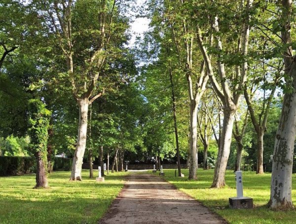 Stellplatz Izeste — Photo 2