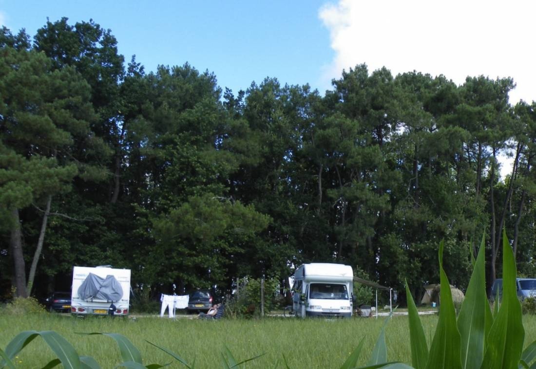 Camping Lou Tuquet — Sítio de acampamento in Fonroque / Nouvelle-Aquitaine