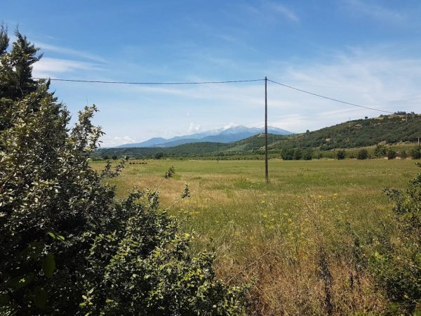 Camping Mas D'en Mas — Foto 3