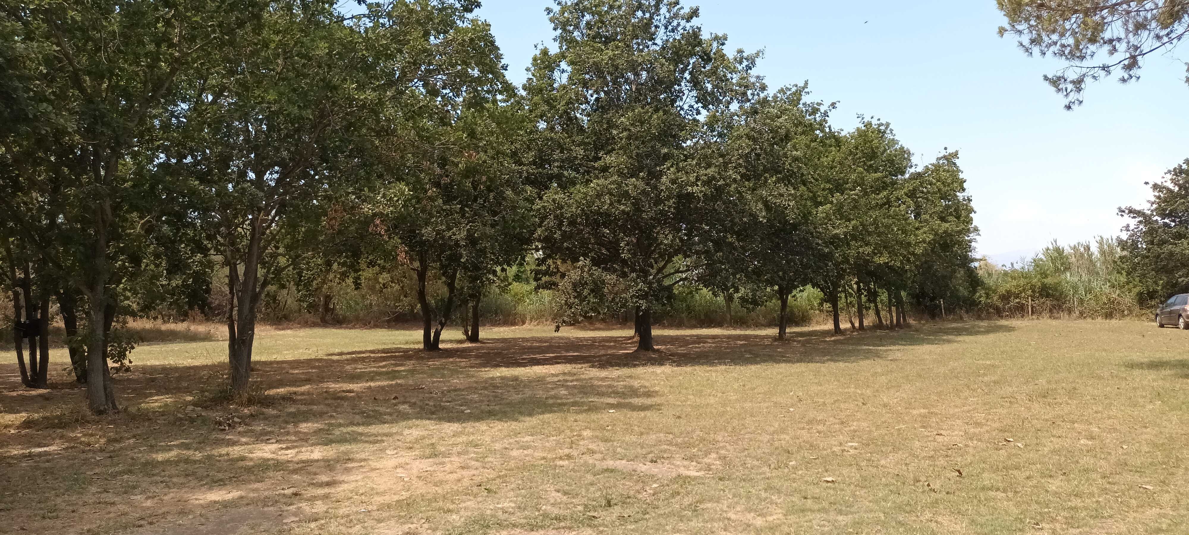 Camping L'Esperanza — Camping Site in Lucciana / Bretagne