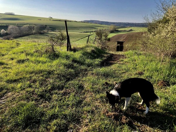 Stellplatz Deudesfeld — Photo 6