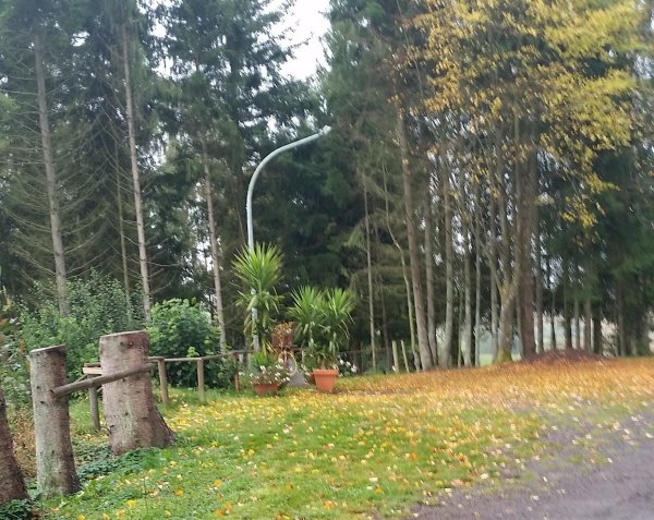 Stellplatz Deudesfeld — Photo 2