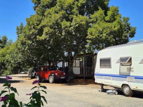 Camping Municipal Font Bonne — Photo 4