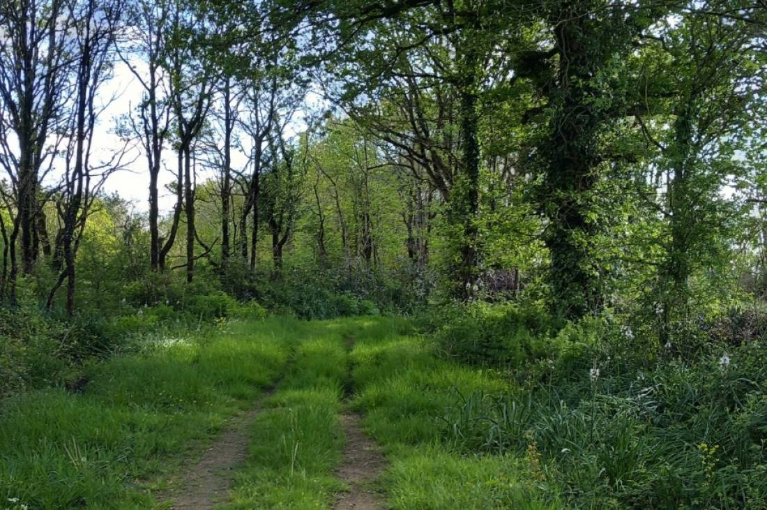 Camping La Vertonne *** — Camping in Grosbreuil