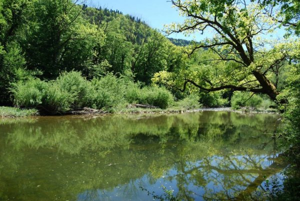 Les Grands Champs — Photo 2