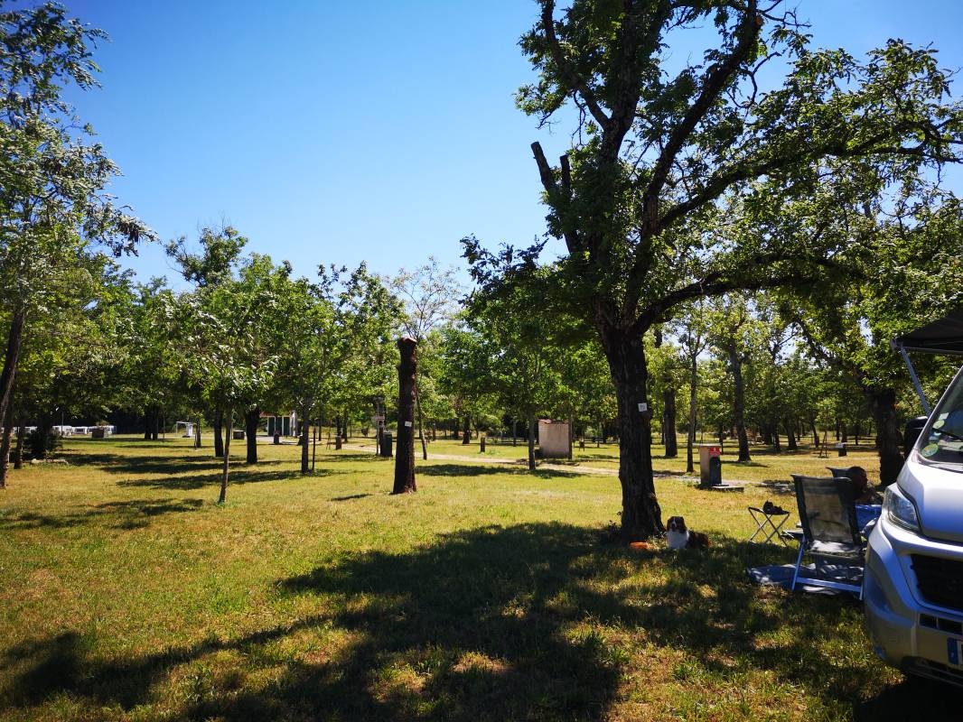 Camping Les Peupliers — Kemp in Saint Maurice d'Ardèche