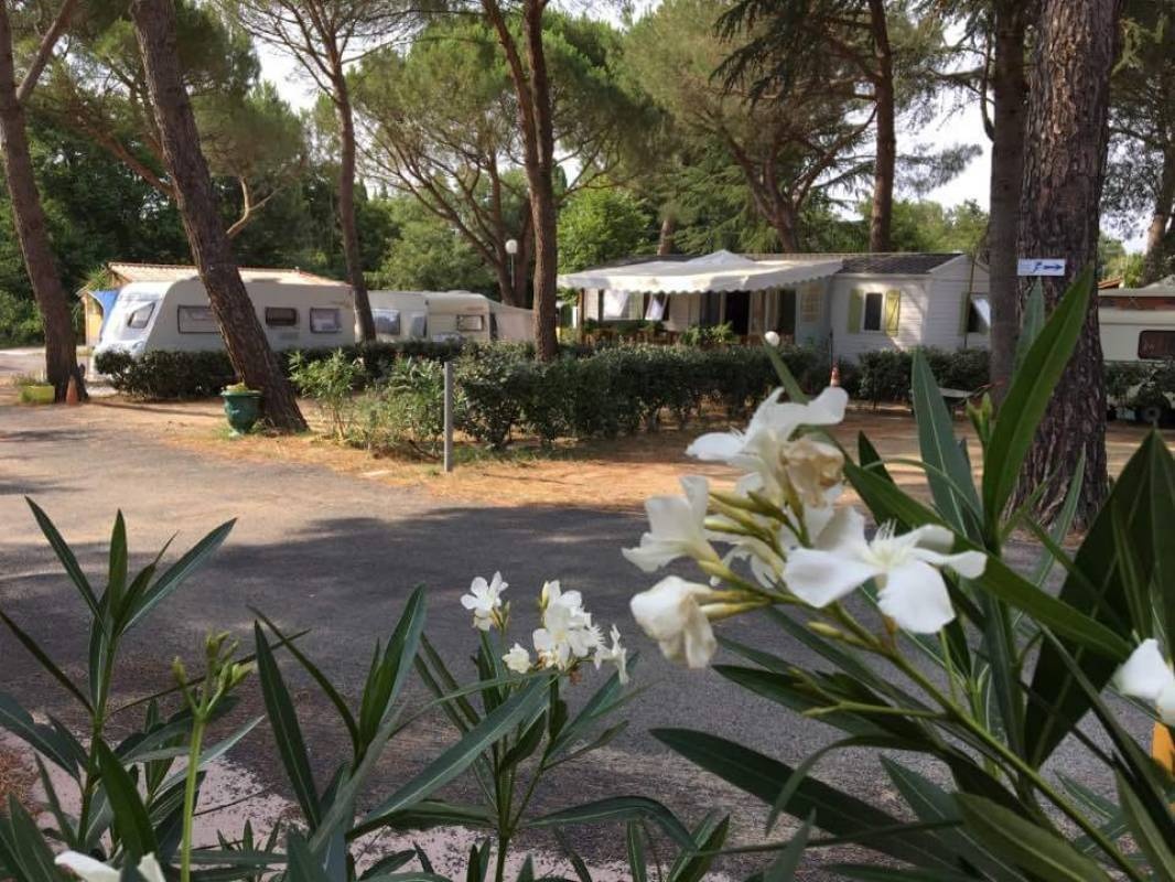 Camping les Pins Congo — Kamp yeri in Maureillas-Las-Illas