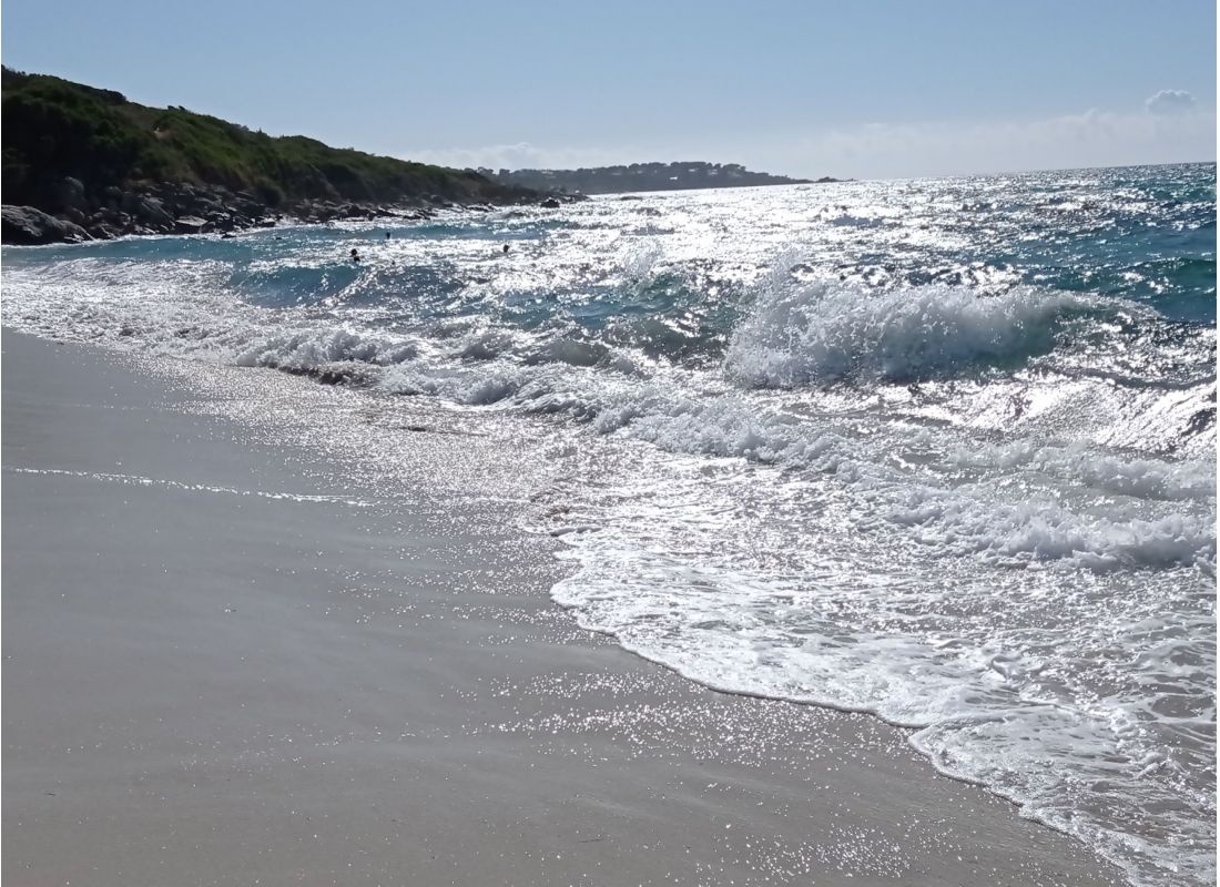 Camping Le Bodri — Camping Site in Corbara / Corse