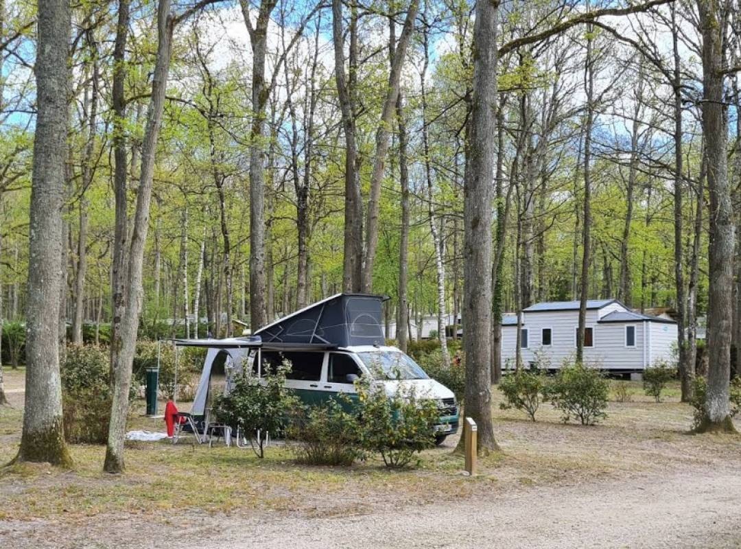 La Musardière Camping *** — Camping in Milly-la-Forêt