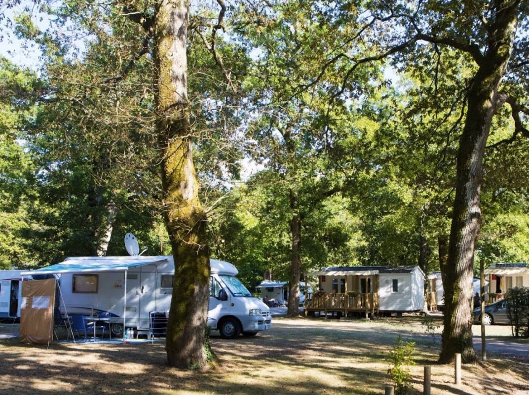 Camping Les Chenes **** — Kamp yeri in Dax