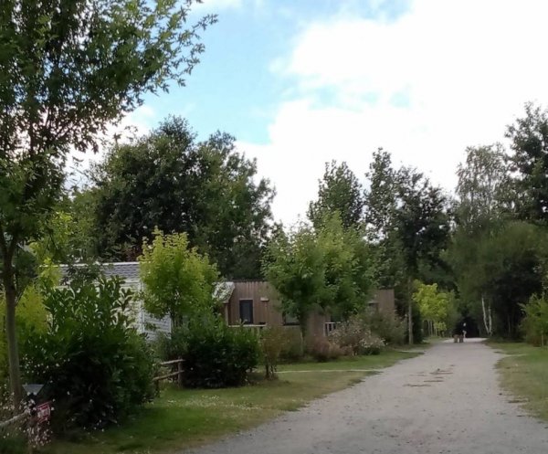 Camping Campilô **** — Photo 2