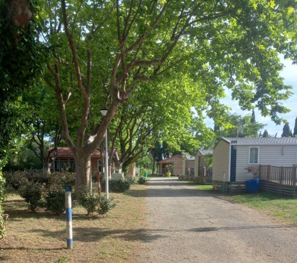 Camping Municipal Bottaï *** — Photo 2