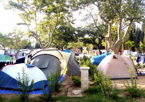 Camping Municipal Bottaï *** — Photo 4