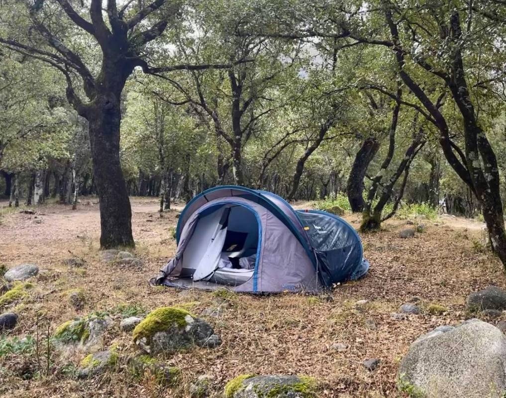 Camping Campita — Camping Site in Omessa