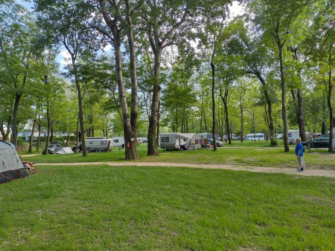 Camping Les Genêts d'Or — Campingplats in Bagnols-sur-Cèze